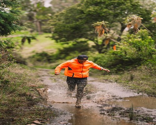 Active man hiking in nature